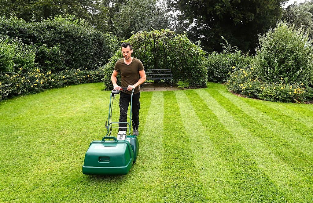 Best Selfpropelled Lawn Mower for Best Mowing Experience Archute