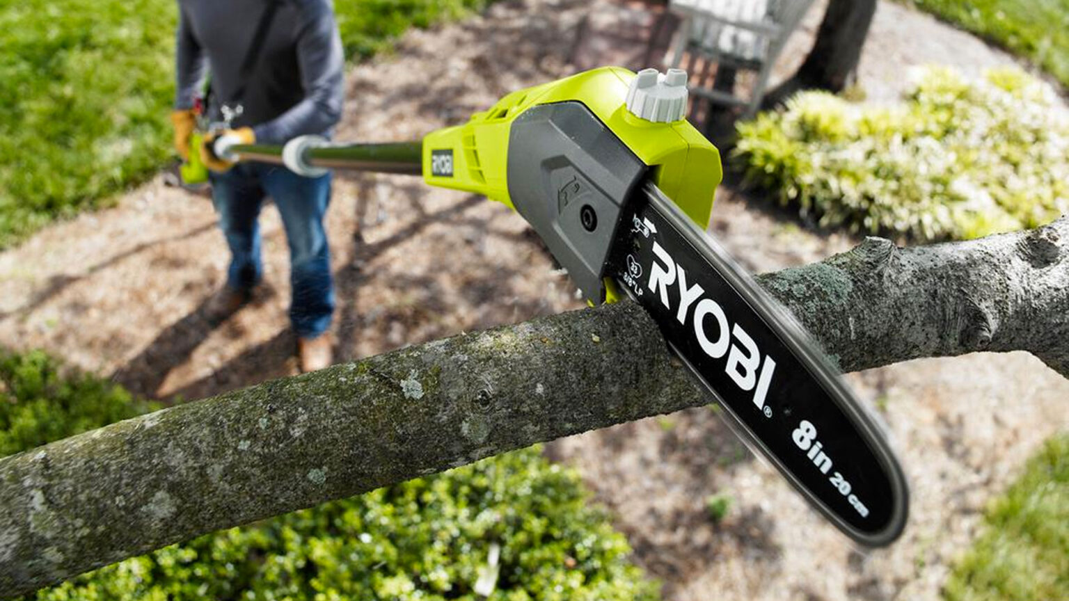 Best Cordless Pole Saw for Pruning Branches Archute