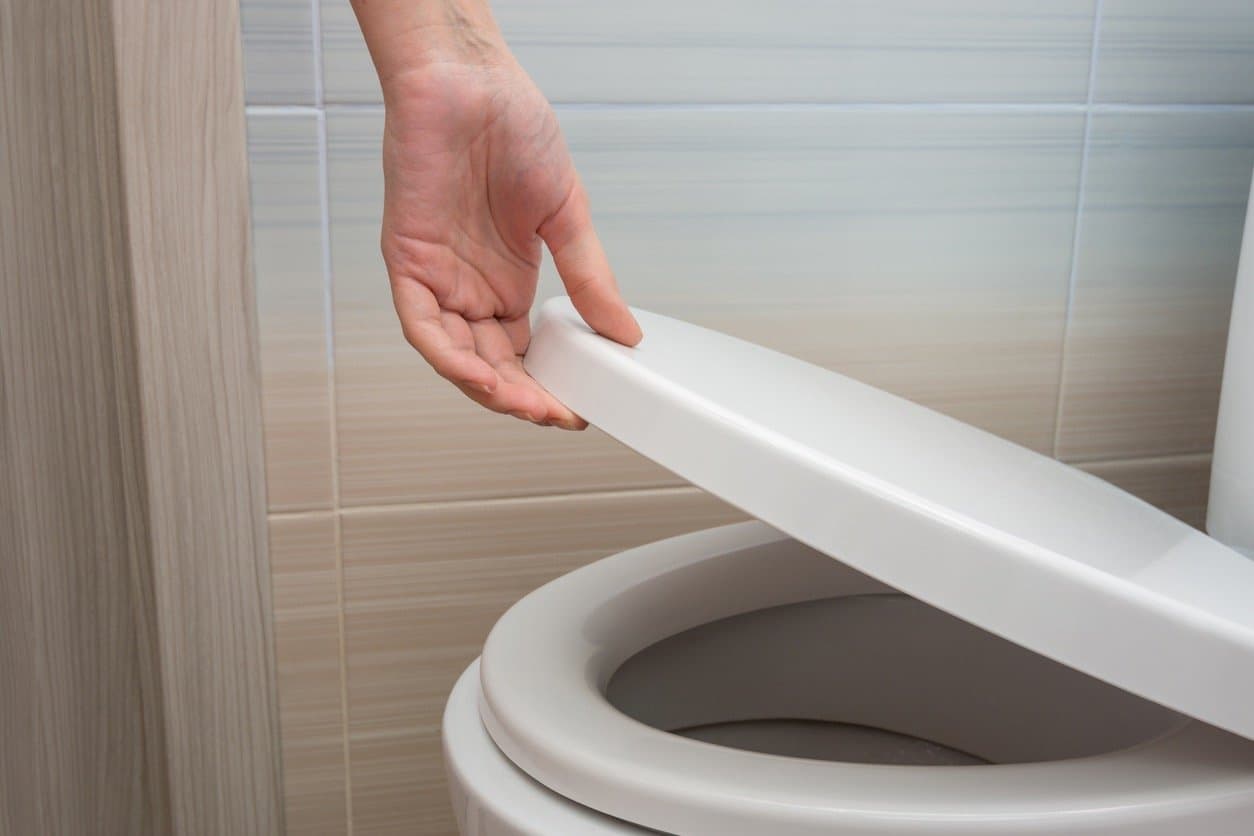 Best Toilet Seat For A Great Bathroom Upgrade Archute