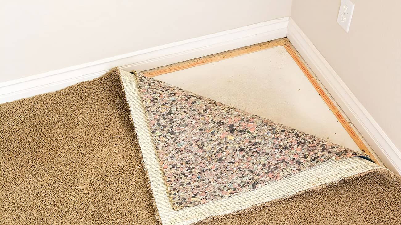 How to Get Mold Out of Carpet and Prevent Future Growth Archute