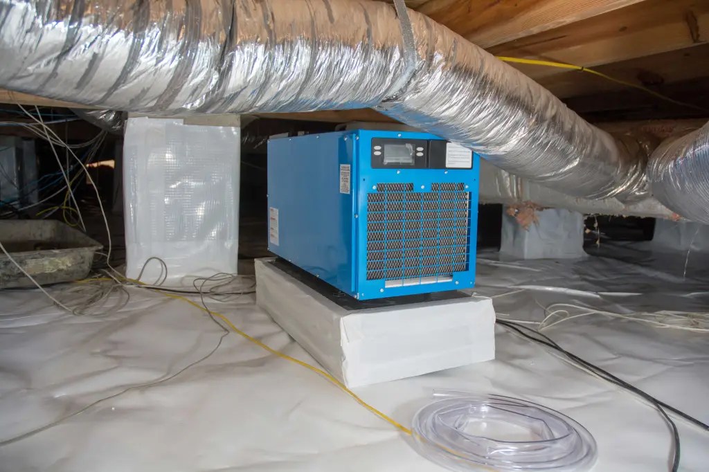 9 DIY Tips on How to Get Rid of Musty Smell in Basement Archute