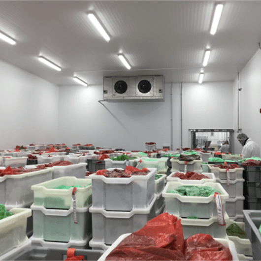 Ferndale Foods, Erith Food Industry Architectural Design Arctica