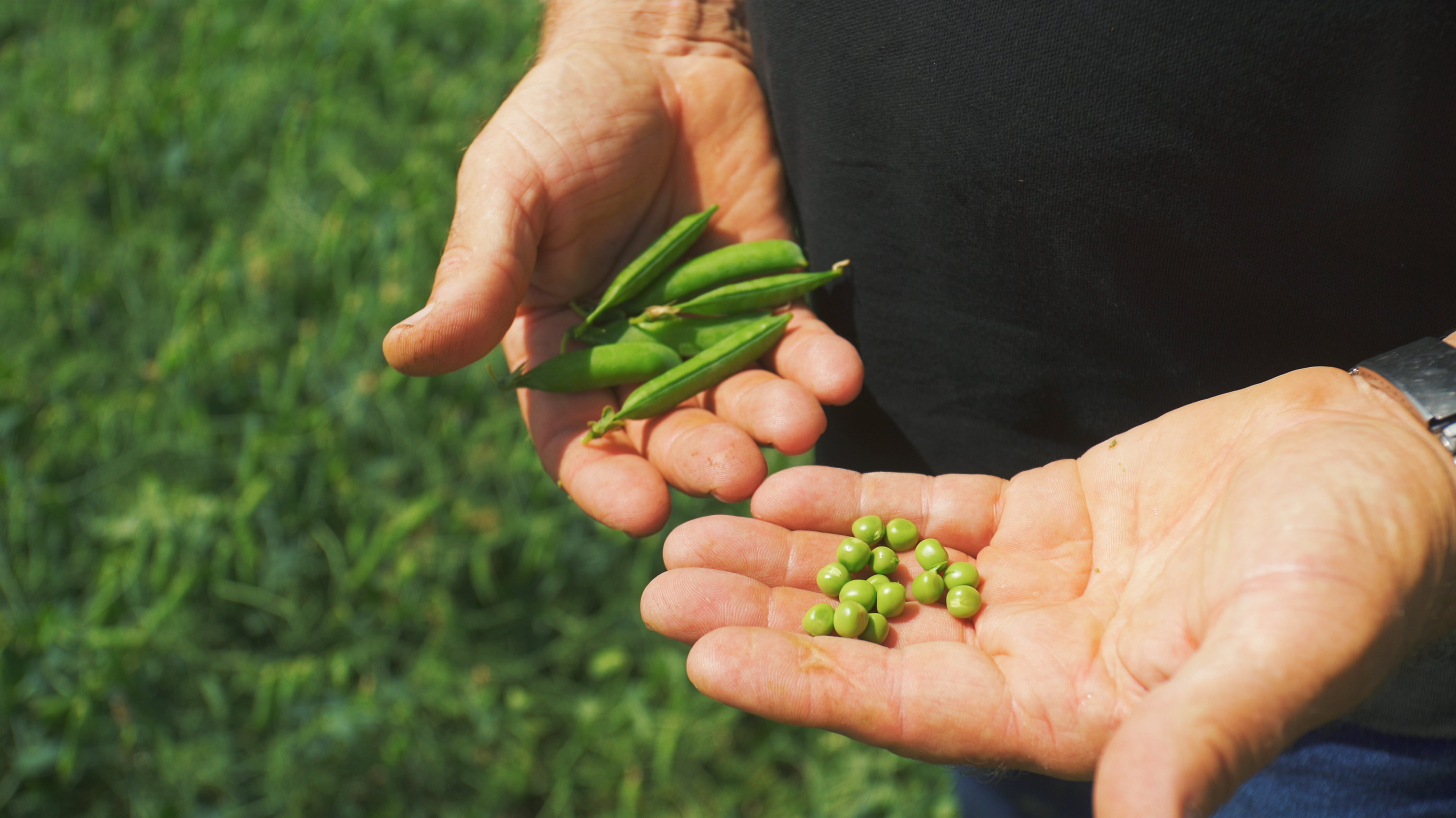 Zoom sur nos agriculteurs d’ici Arctic Gardens