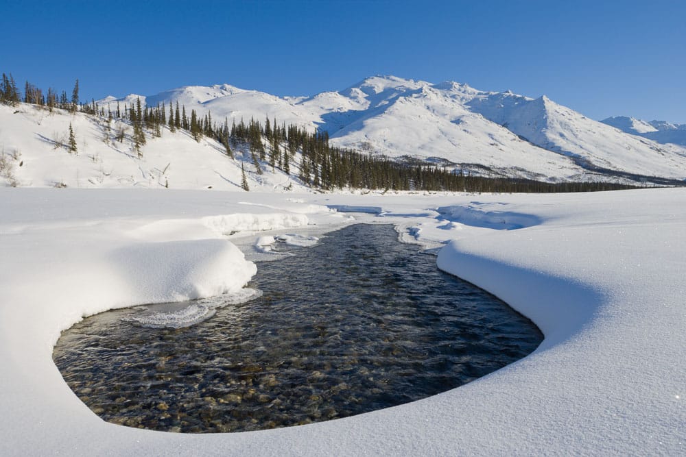 Wiseman in Alaska's Arctic Arctic Getaway