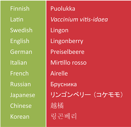 The name lingonberry in different languages Arctic Lingonberry