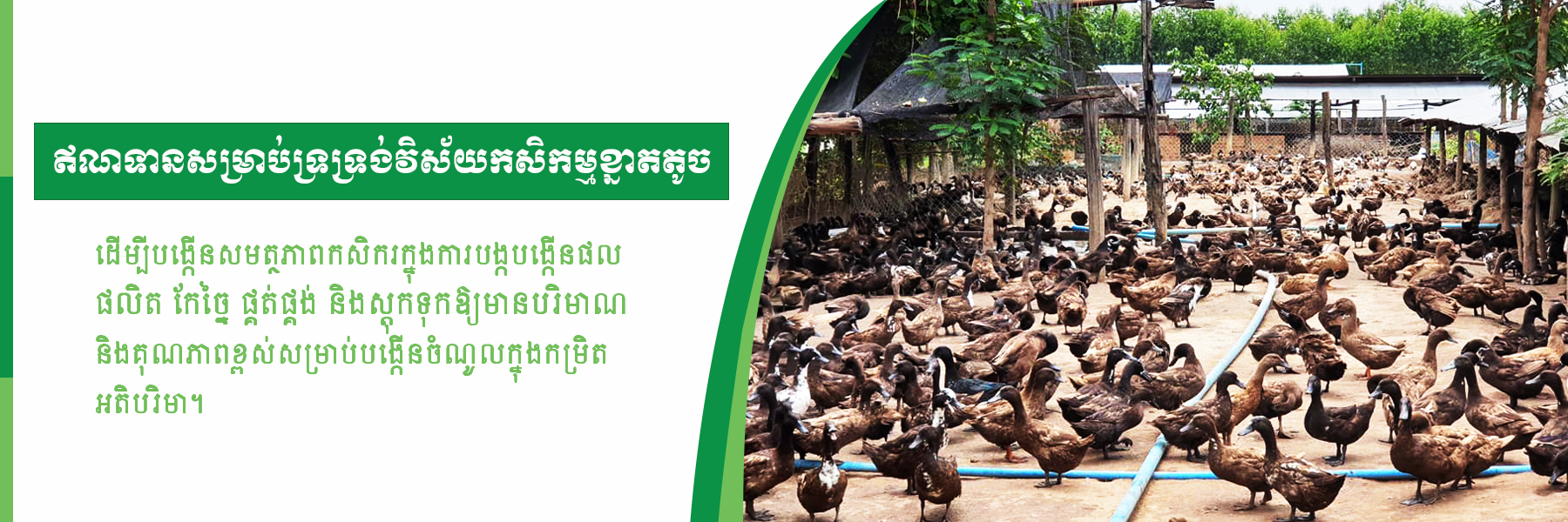 Agricultural and Rural Development Bank