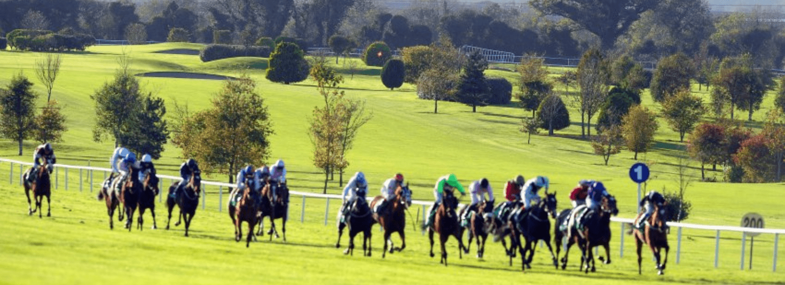Navan Racecourse