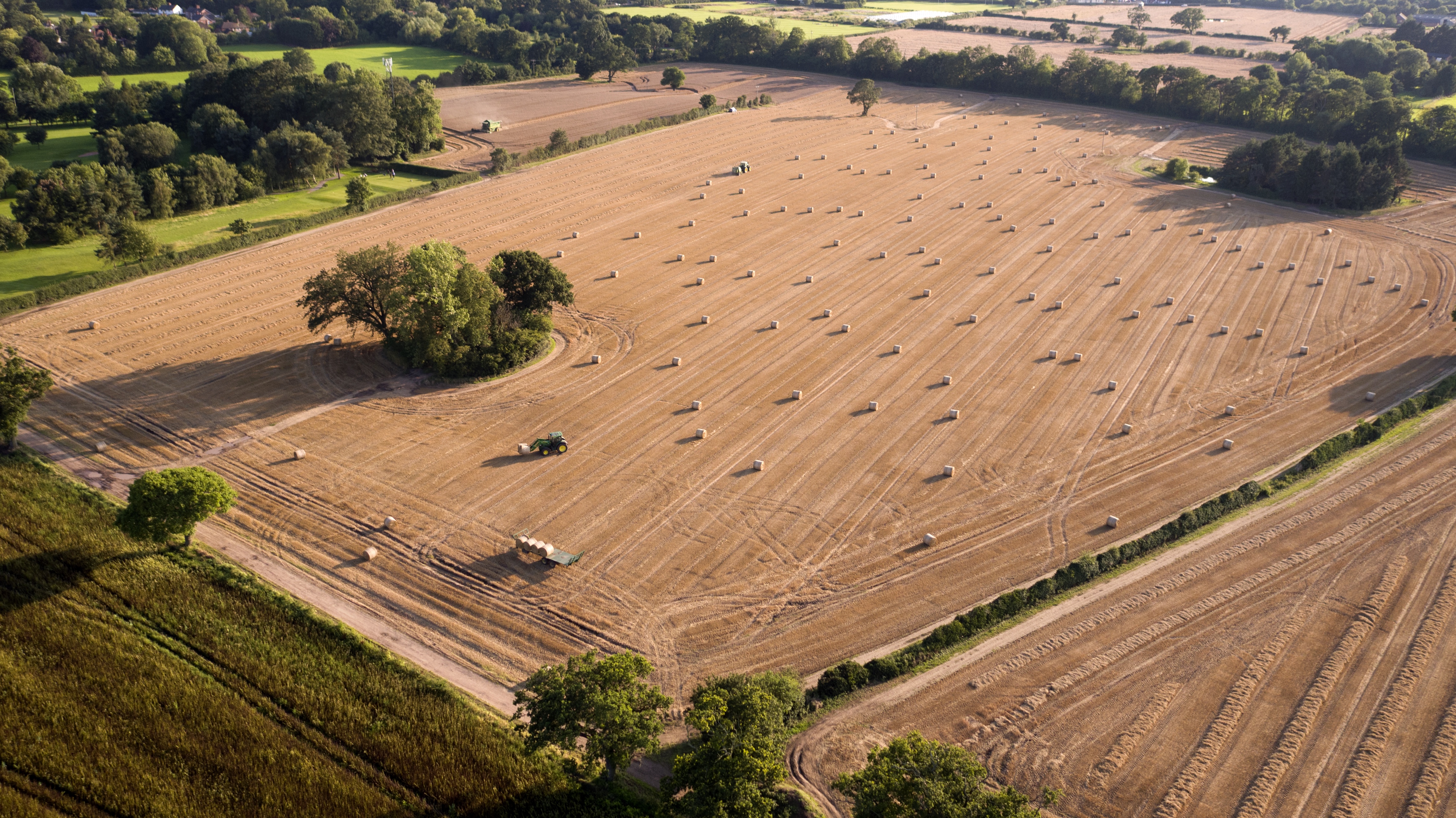 fullsizeoutput_2879 ARDENS Tile Farm