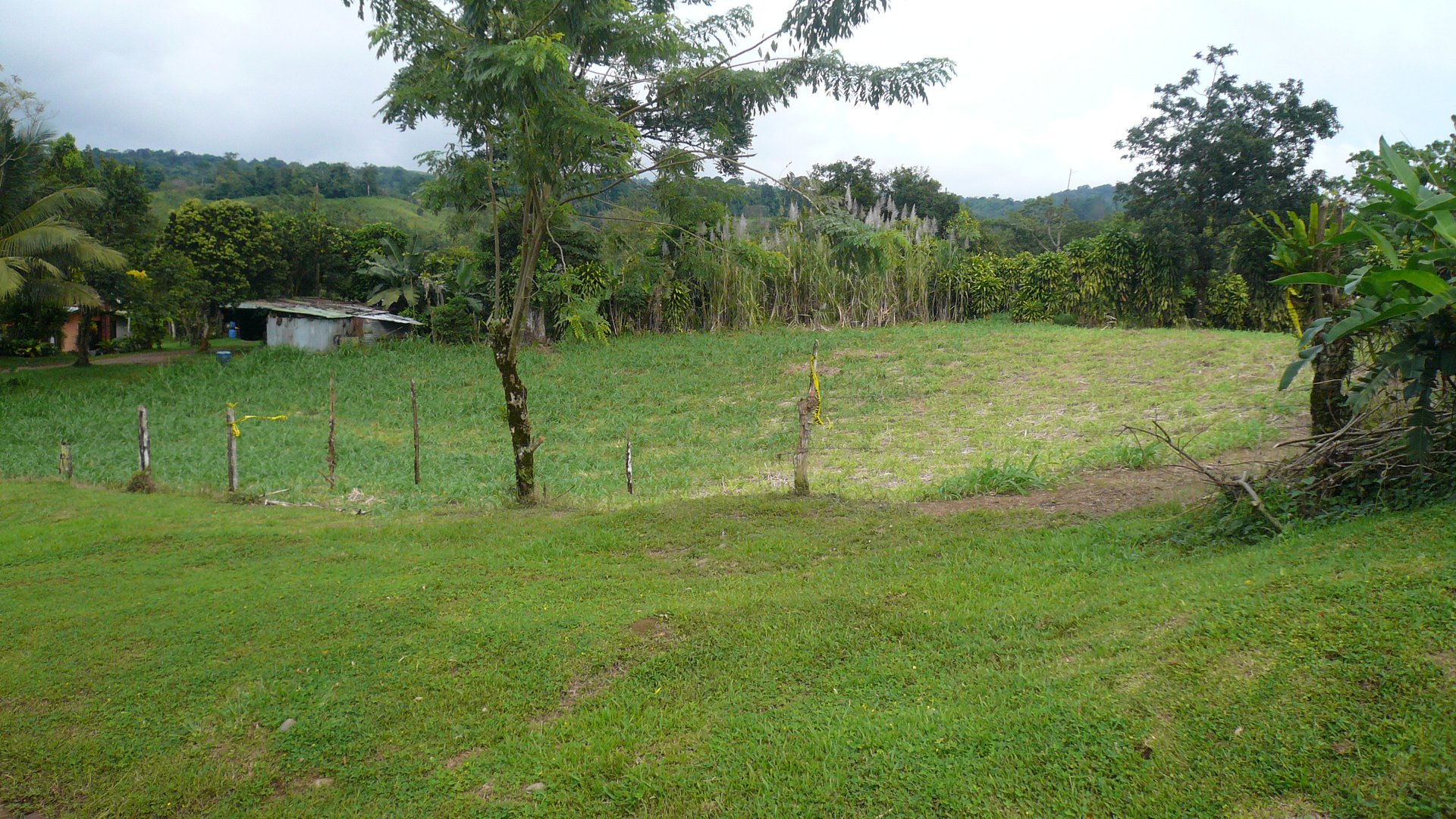 Inexpensive Flat Lot in Residential District Arenal Guru