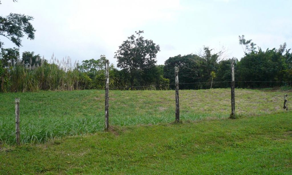 Inexpensive Flat Lot in Residential District Arenal Guru