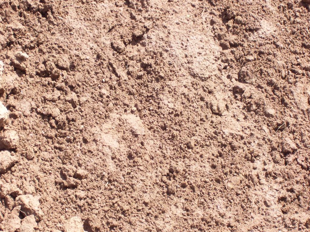 Top Soil Delivered by Arentz Enterprises III