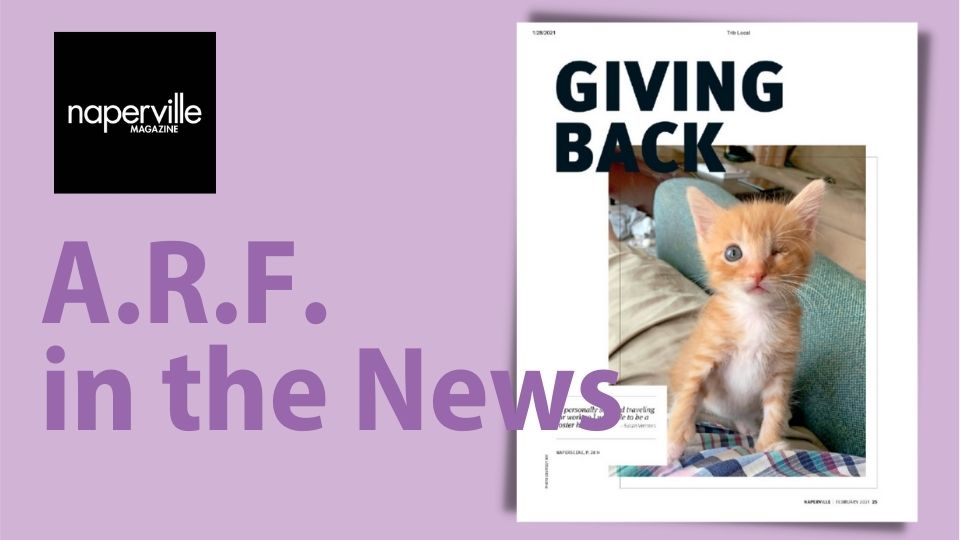 In the News Naperville Sun Writes About A.R.F.'s 2020 Successes A.R