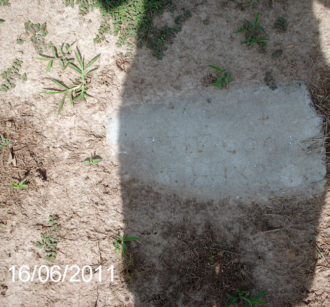 Nelson Cemetery near Reyno