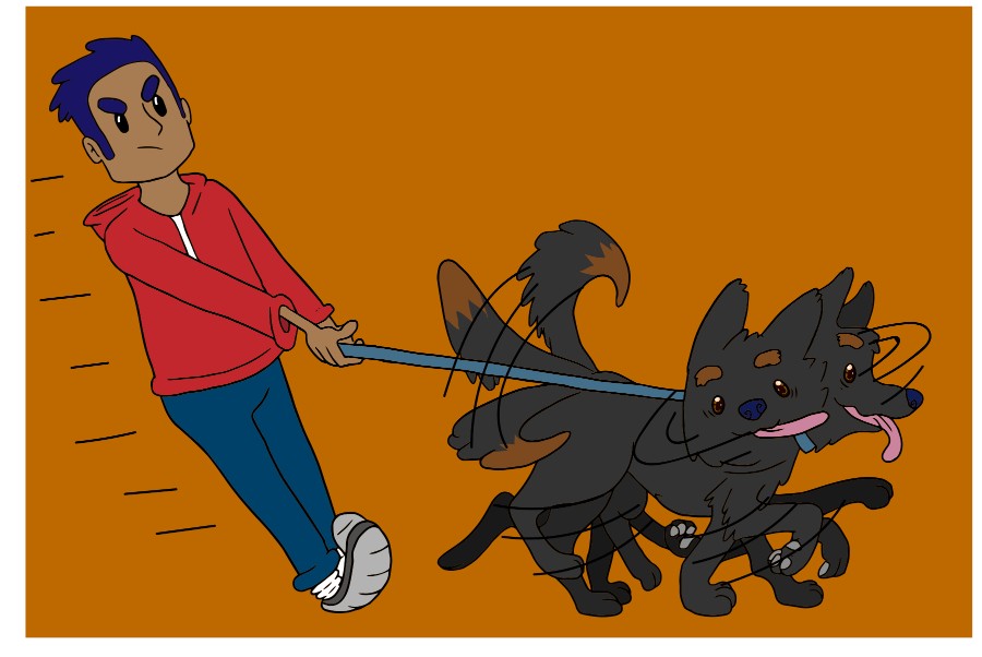 Argos Dog and Puppy Training Methods Boston, MA Argos Dog Training