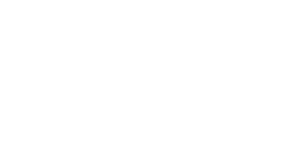 Solutions Aries Systems Corporation