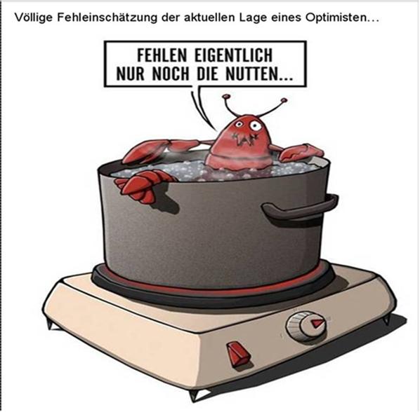Fehleinschätzung eines Optimisten Forum ARIVA.DE