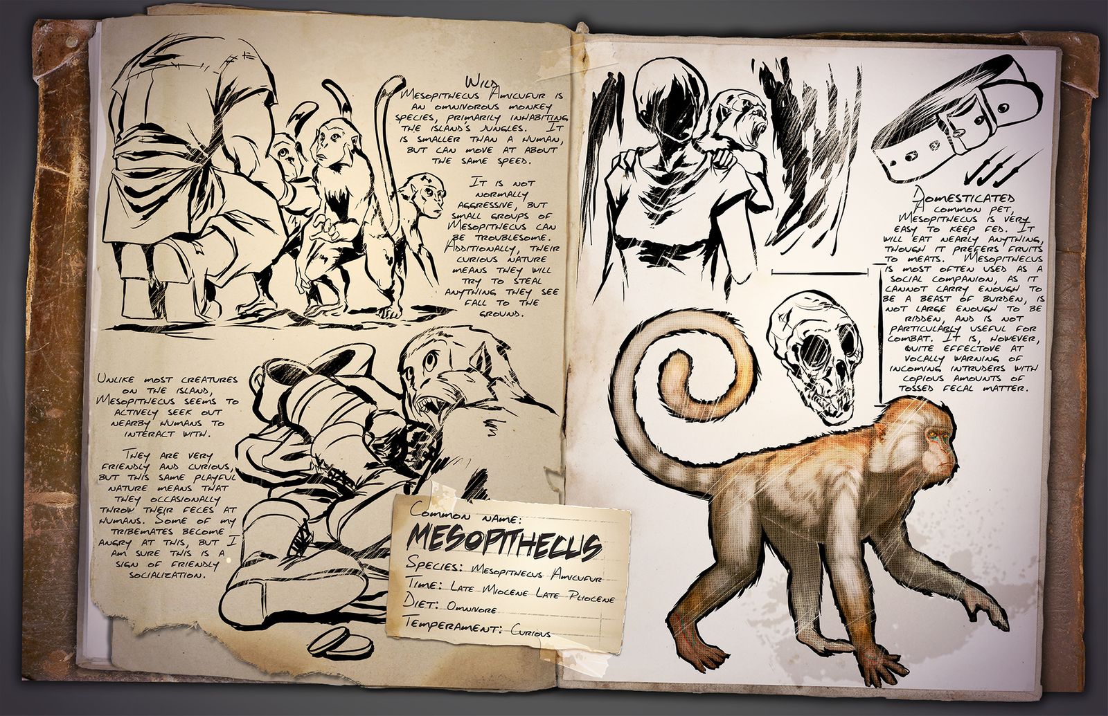 Dino Dossier Mesopithecus Ape ARK Survival Evolved