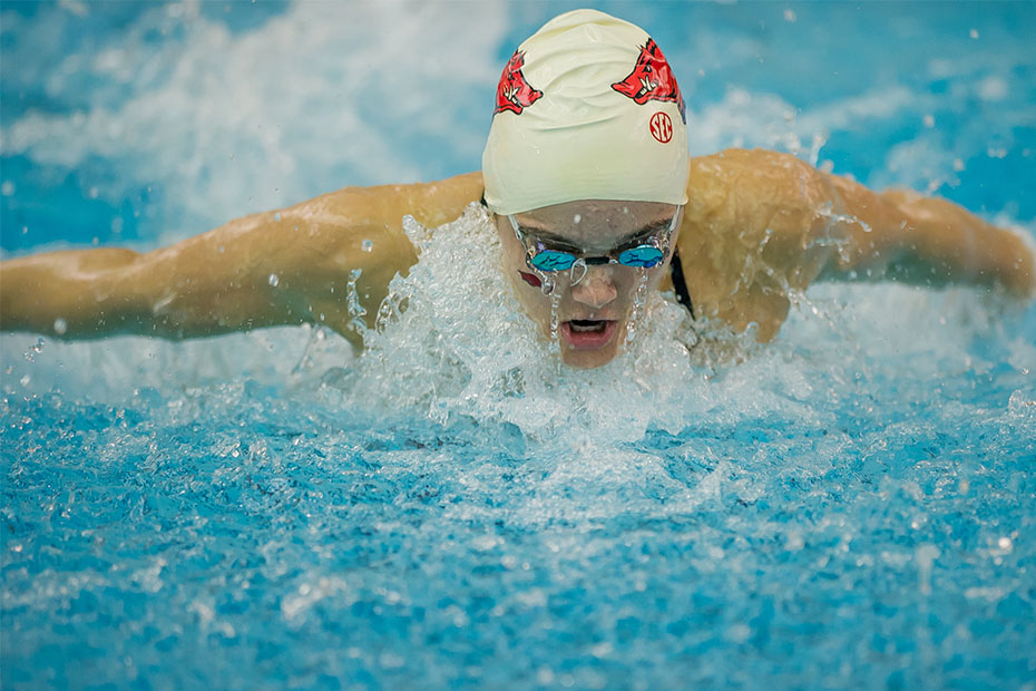 Swimming & Diving Arkansas Razorbacks