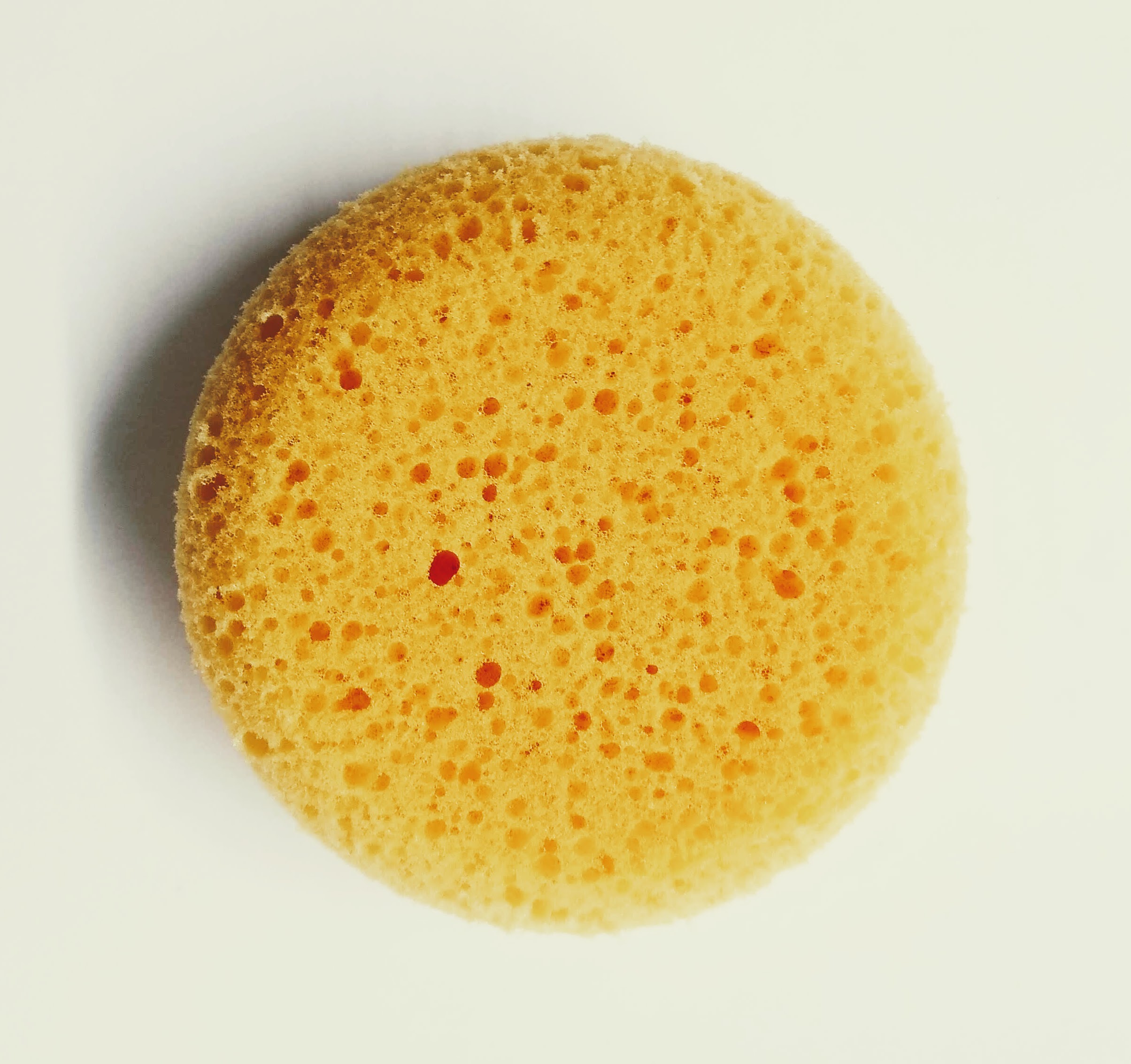 Synthetic Sponges