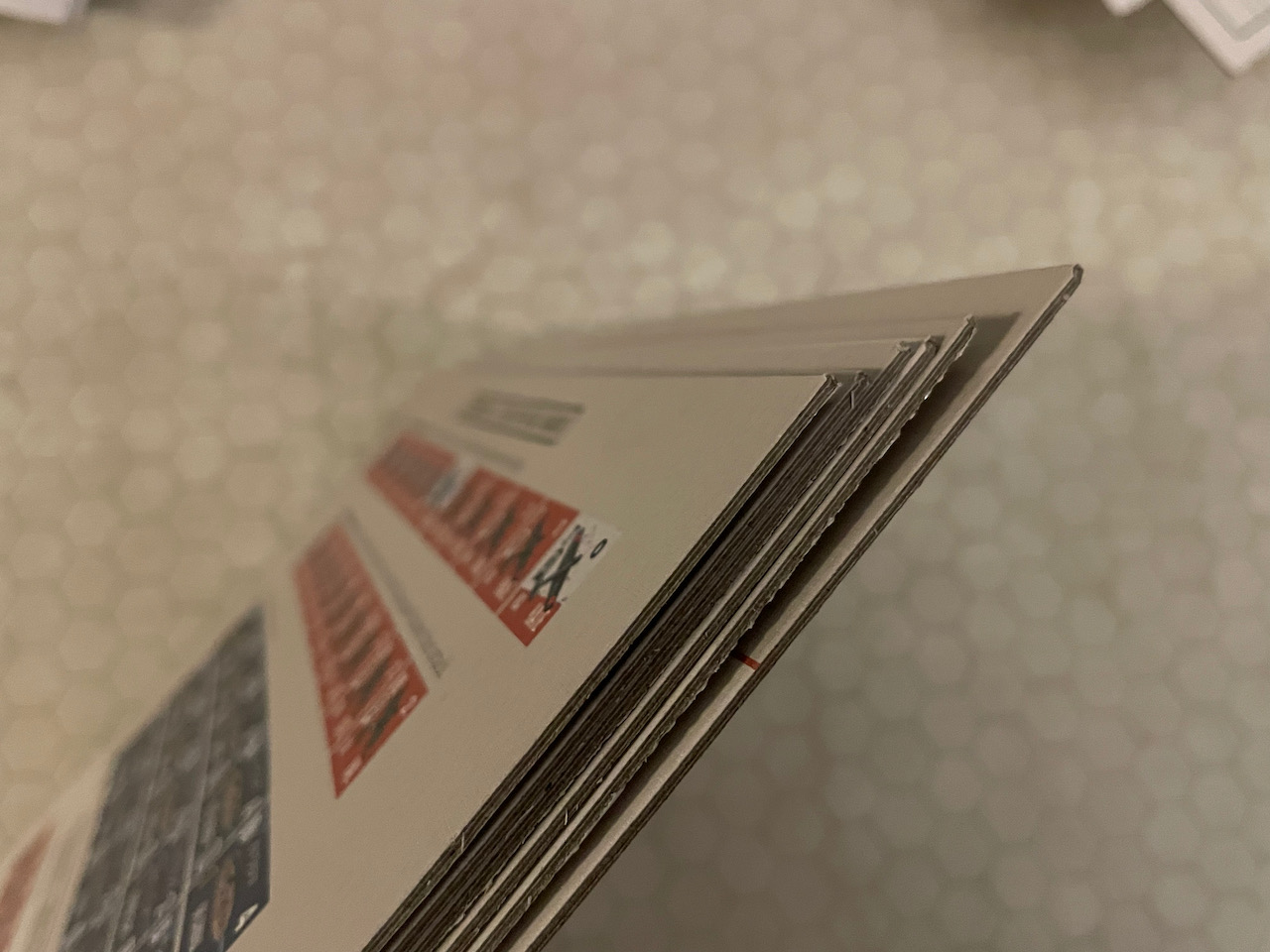 IMG 3774 Armchair Dragoons