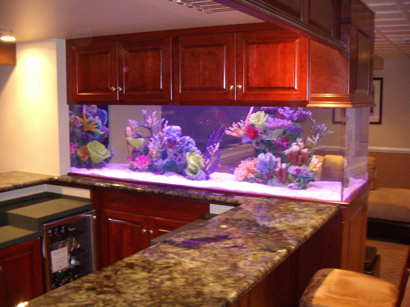 Residential Armco Aquariums Serving Philadelphia, Wilmington, DE, PA