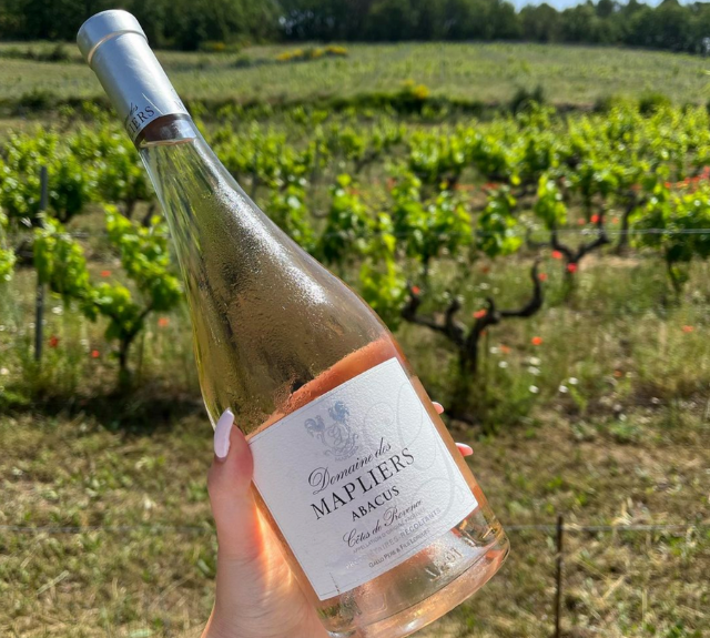 Fine Wine Merchant Red, White & Rose Wine Champagne Armit Wines