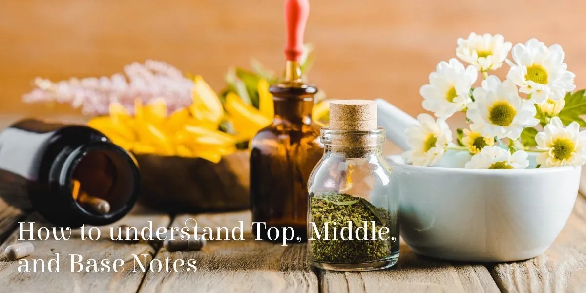 How to Understand Top, Middle & Base Notes Aroma Designers