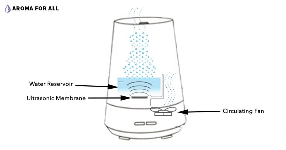 How Exactly Does A Diffuser Work? Understanding Oil Diffusers