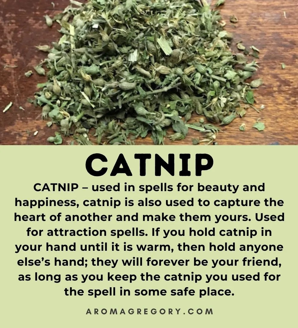 Catnip magical properties aromaG's Botanica