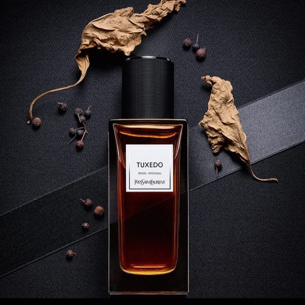 عطر توكسيدو Tuxedo Yves Saint Laurent من إيف سان لوران يجمع بين الظلام والضوء لمحة عطرية Aromatic Glance