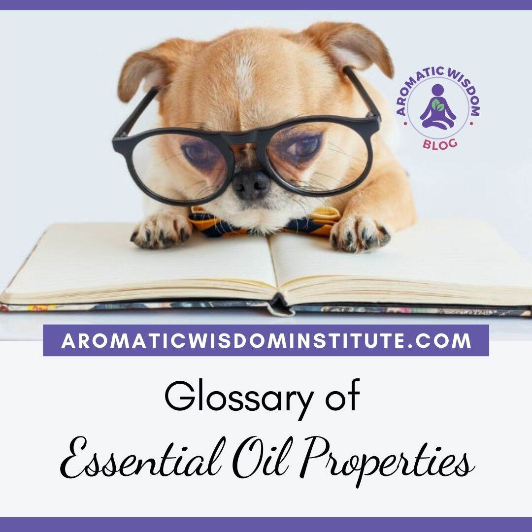Glossary of the 40 Most Common Essential Oil Properties and Aromatherapy Terms for Beginners