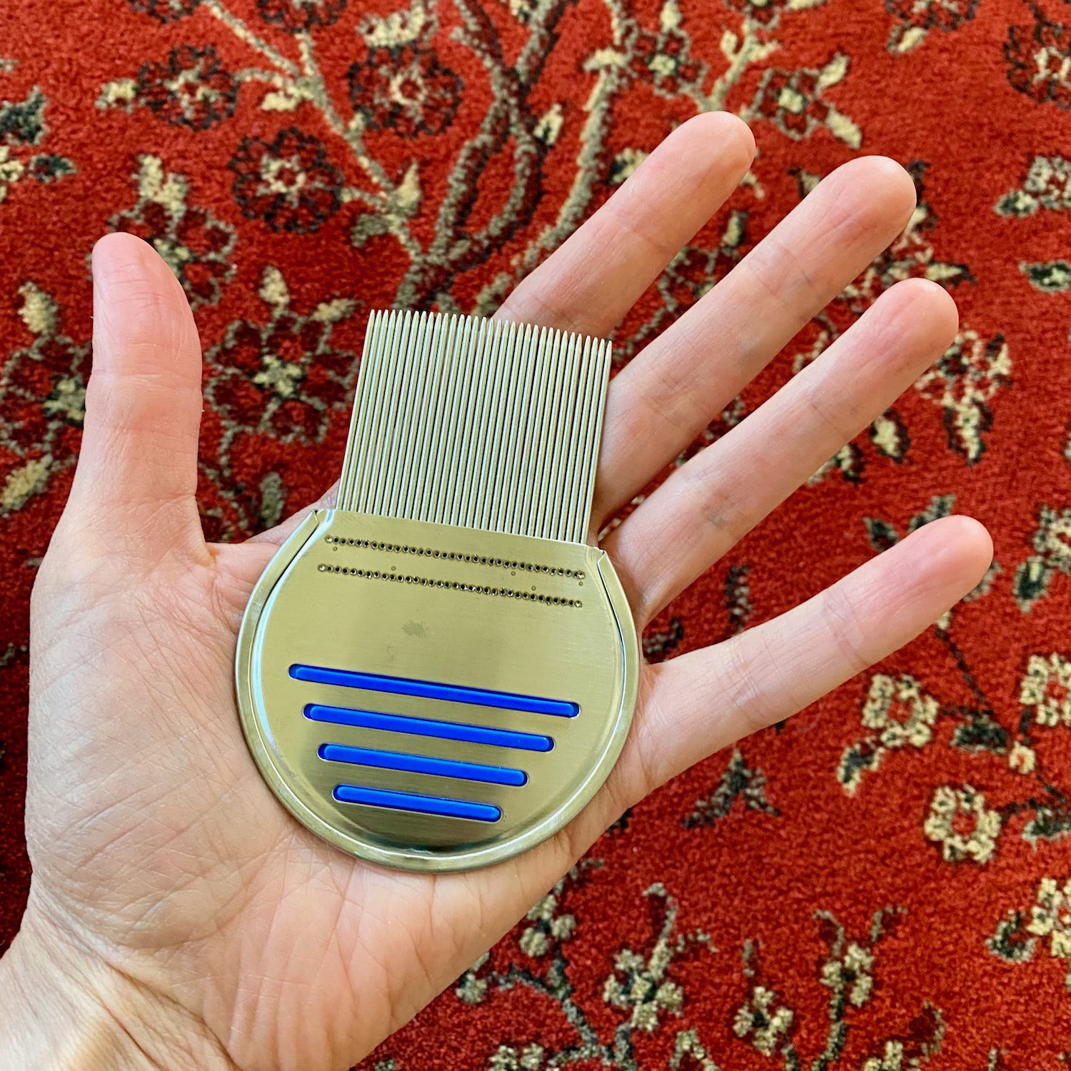 Our Adventure Getting Lice, and Tips to Stop It Around the World "L"