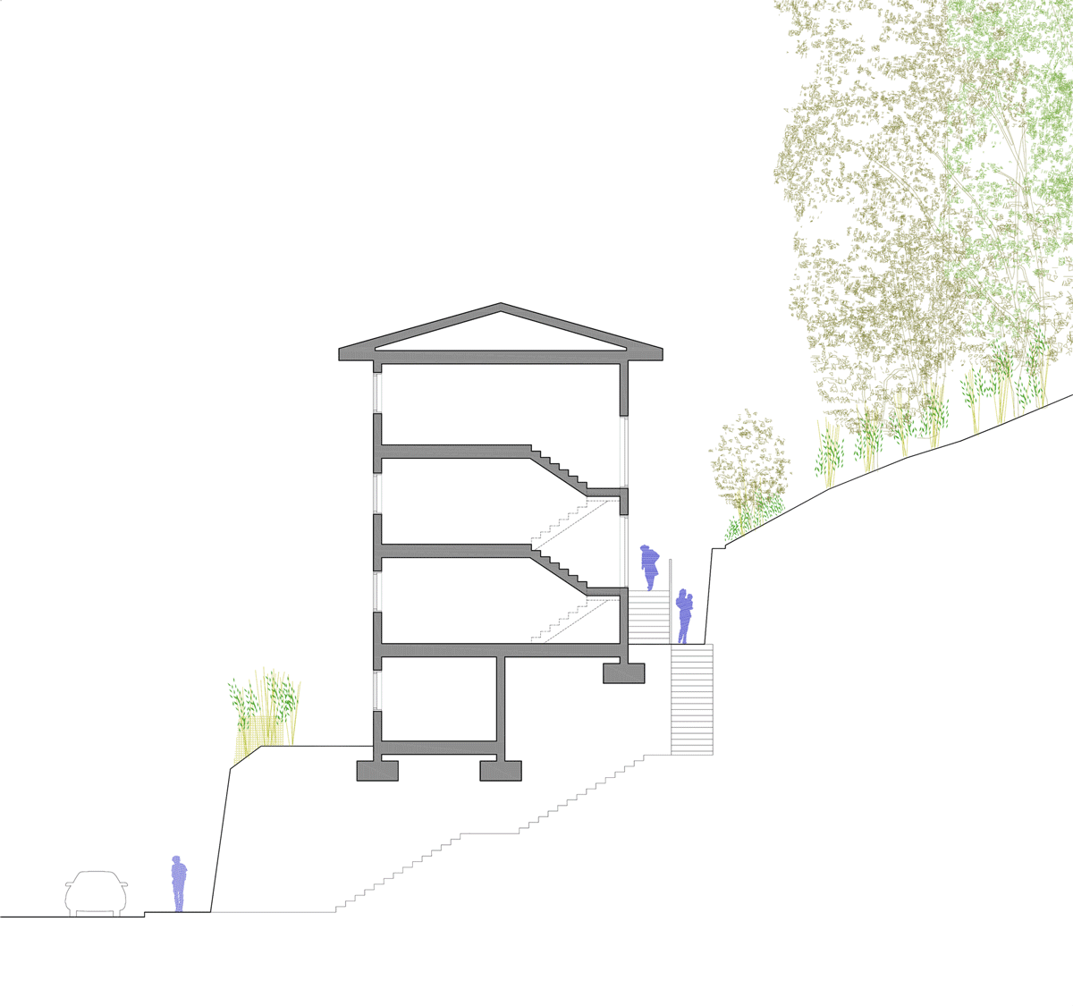 Cruzar el bosque Arquine