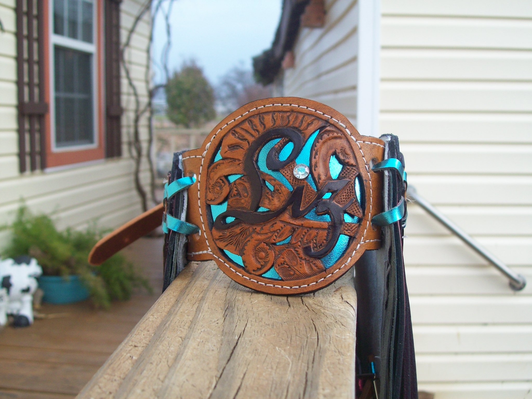 Queen Chaps, Rodeo Queen Chaps, Miss Mississippi Rodeo Chaps