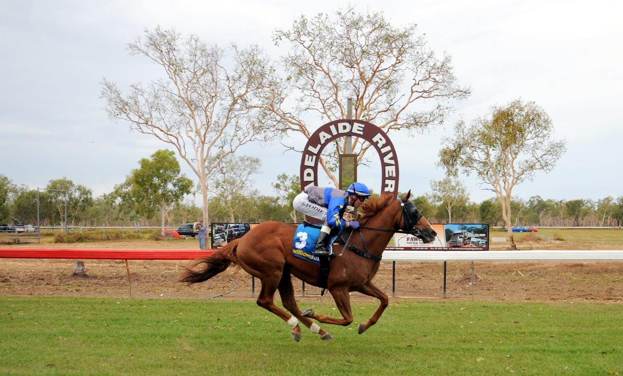 GALLERY Adelaide River Show Society