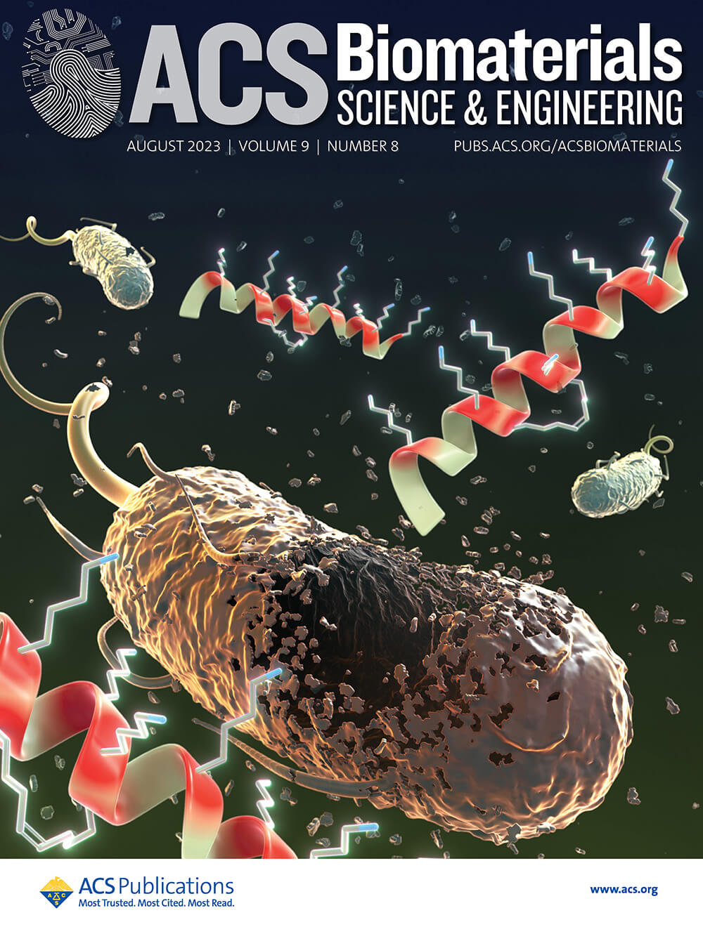 論文雑誌「ACS Biomaterials Science & Engineering」のカバーピクチャーを制作しました[国立医薬品食品衛生