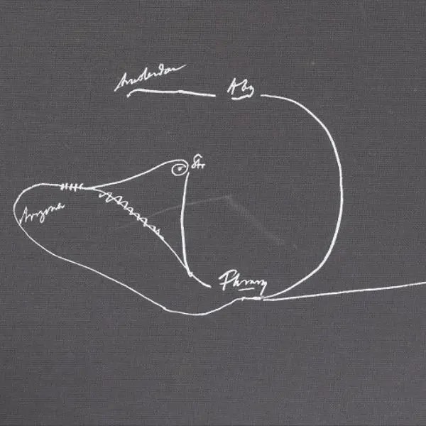 How to put art in a book. Mostra di libri d’artista Arte.Go Mostre