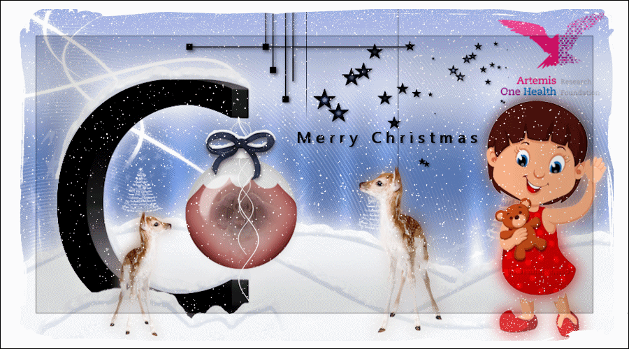 Animated Xmas ecard Artemis One Health