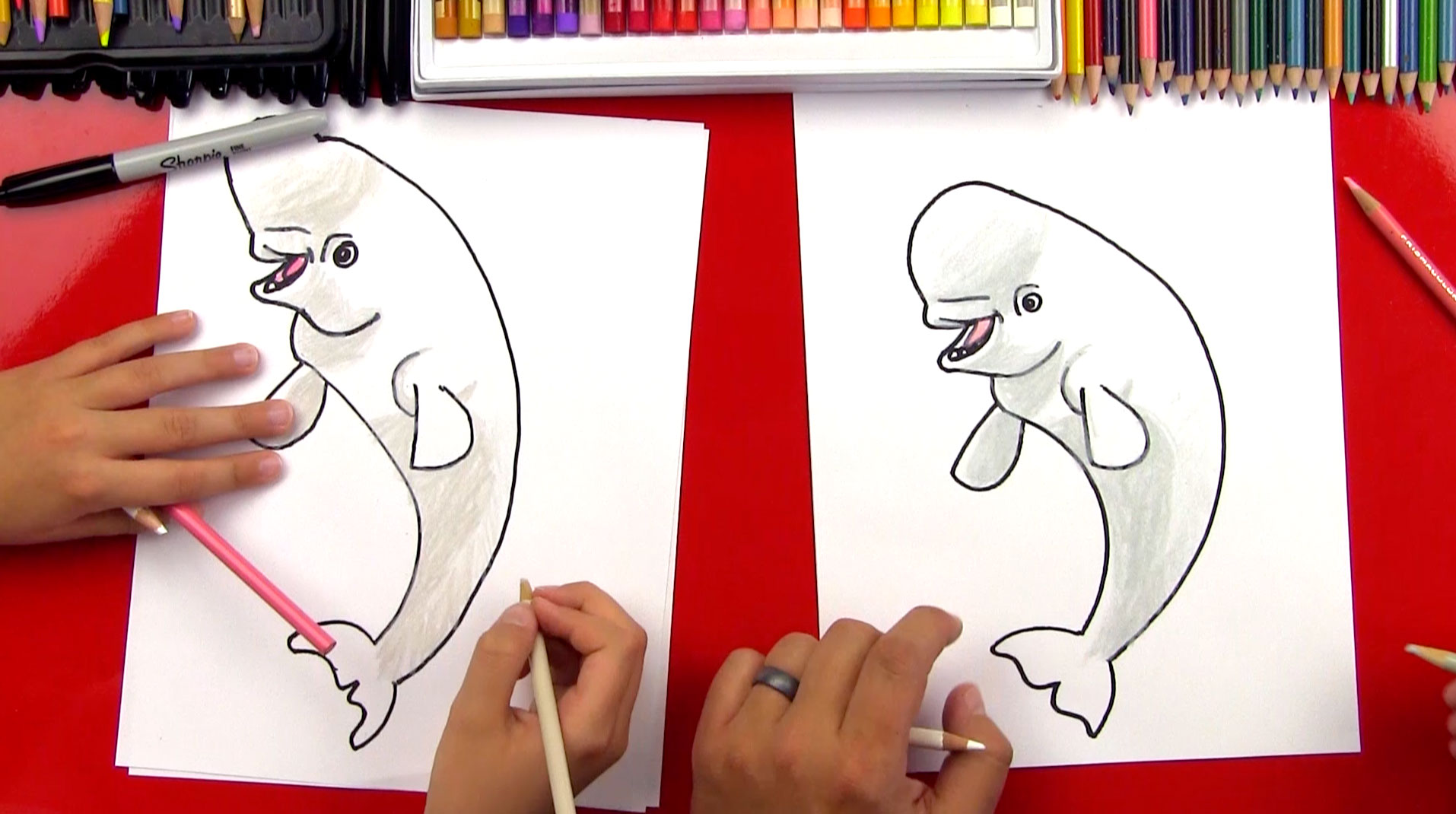 How To Draw Bailey From Finding Dory Art For Kids Hub