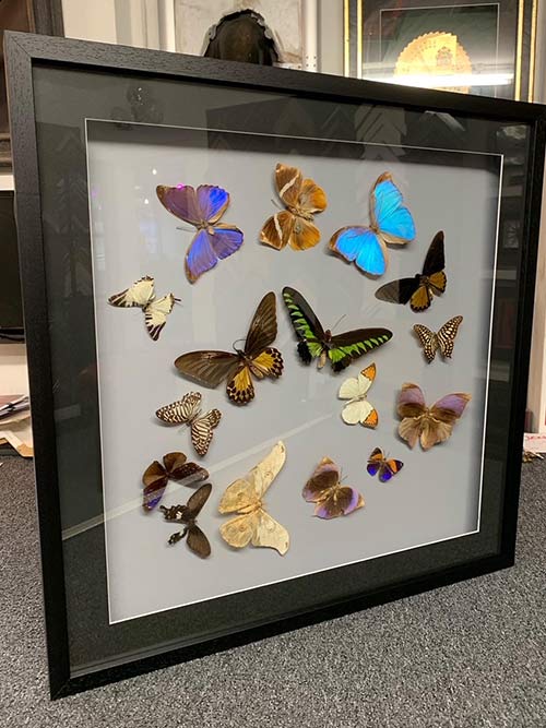 Picture Framing Plymouth. Artframe Solution, Plymouth Picture Framers