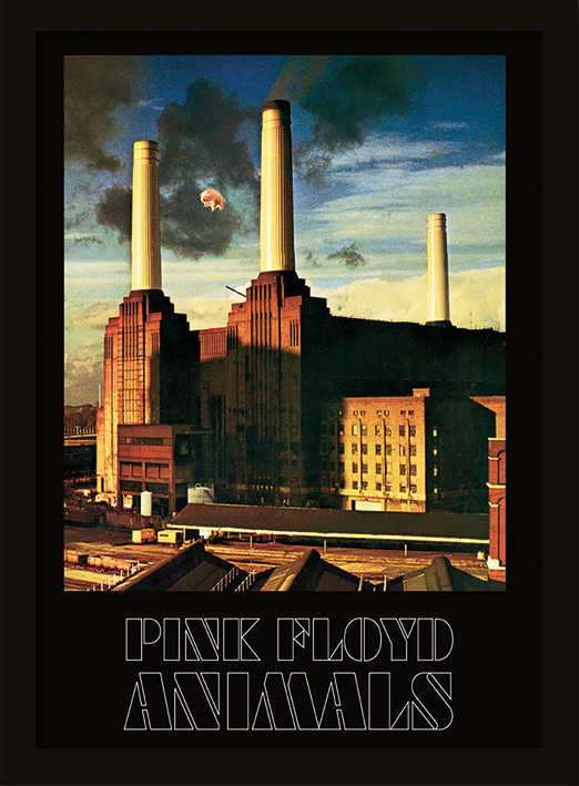 Pink Floyd (Animals) Canvas Print The Art Group