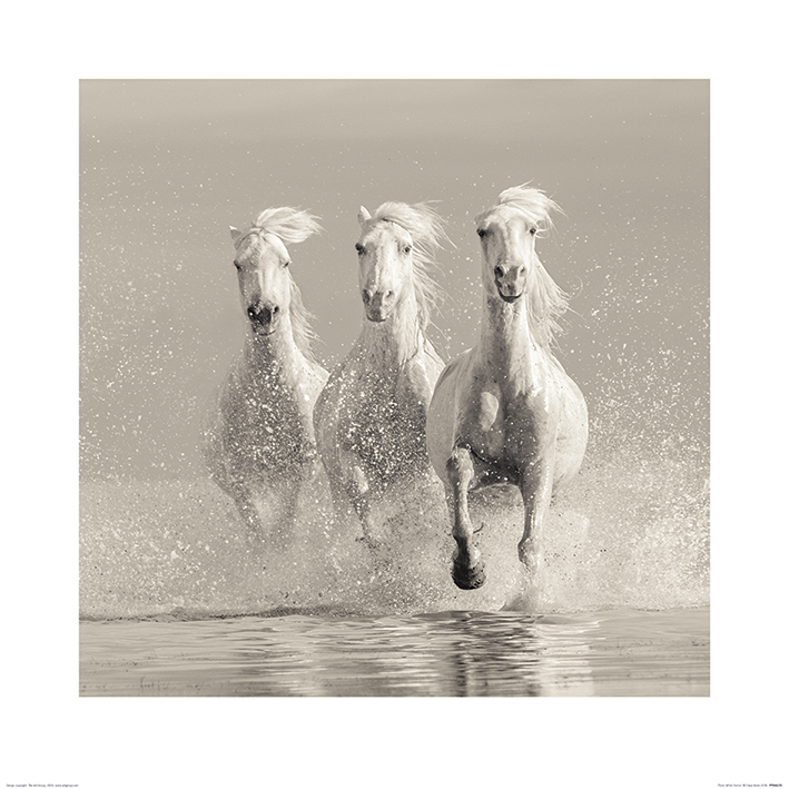 Carys Jones (Three White Horses) Art Print The Art Group