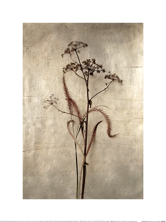 Heather Johnston (Dried Grasses II) Art Print The Art Group