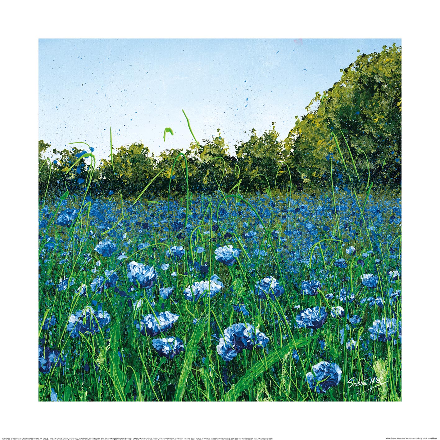 Siobhan McEvoy (Cornflower Meadow) Art Print The Art Group