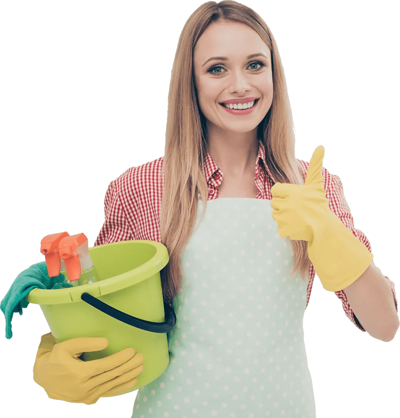 Hearth's Guardian Westwood Dr Chimney Sweep Guide