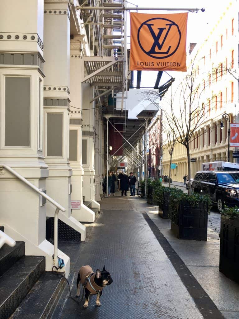 Dog Friendly Soho, NYC DOG FRIENDLY TRAVEL, Dog Friendly Travel