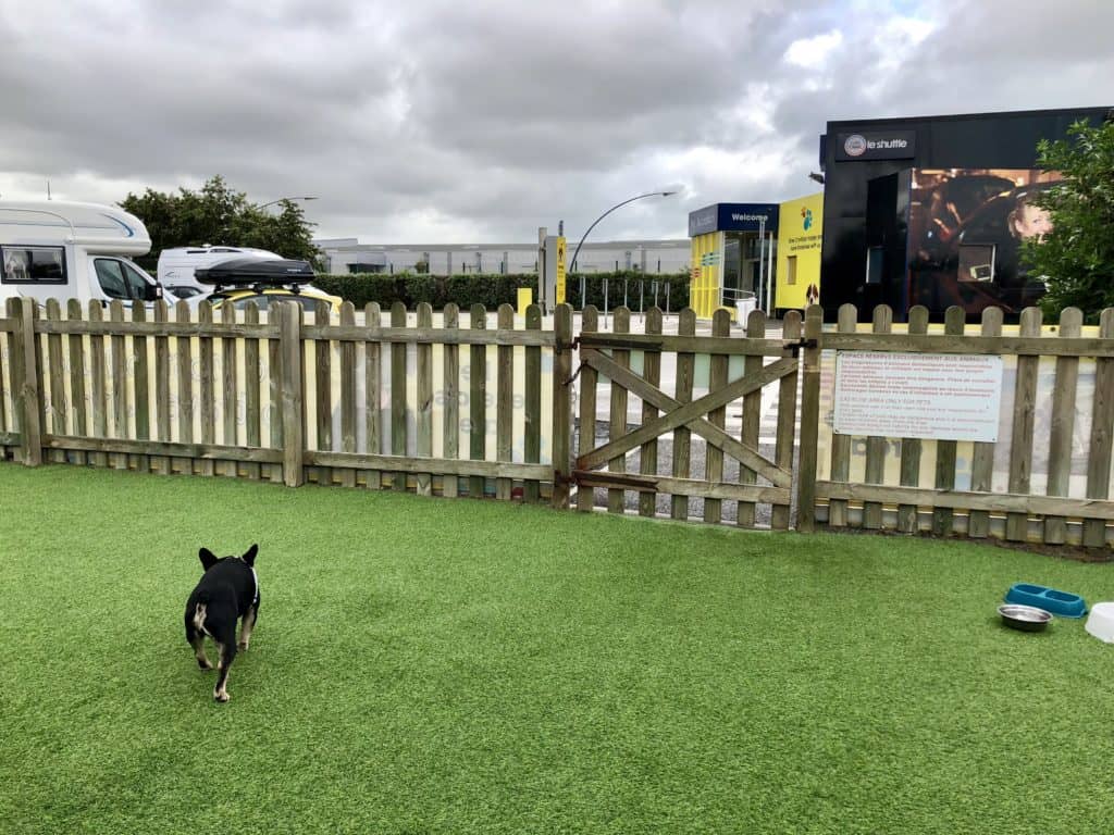 Taking Pets to England on Eurotunnel Le Shuttle Dog