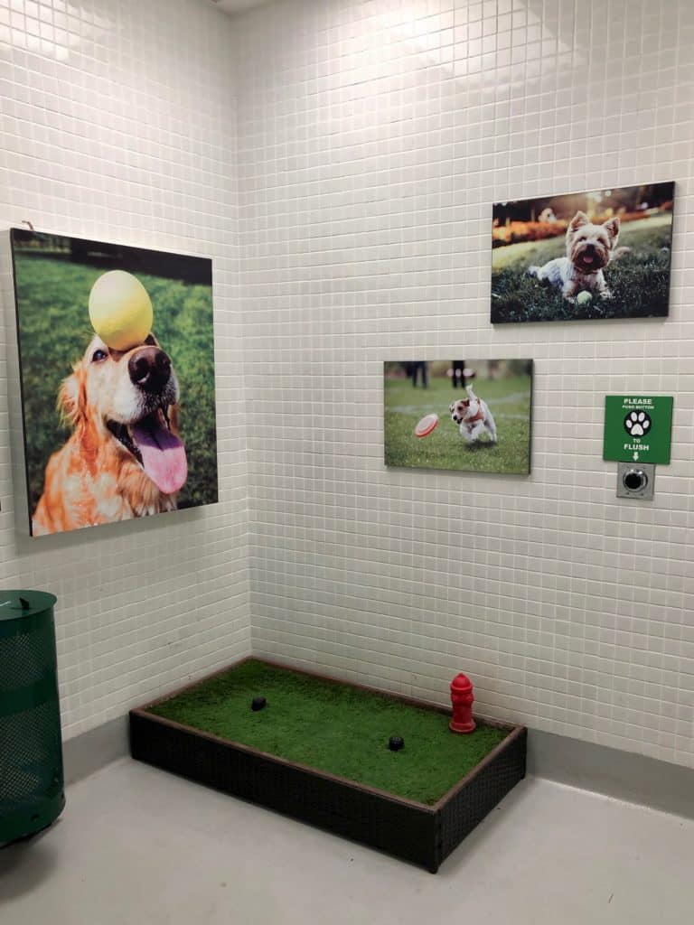 Pet Relief Areas at MIA, Miami International Airport