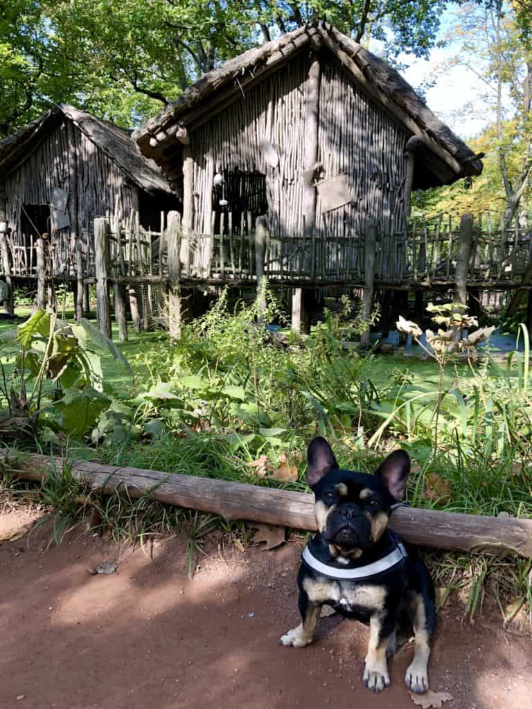 Dog Friendly Zoos DOG FRIENDLY TRAVEL WITH LOUIE V.