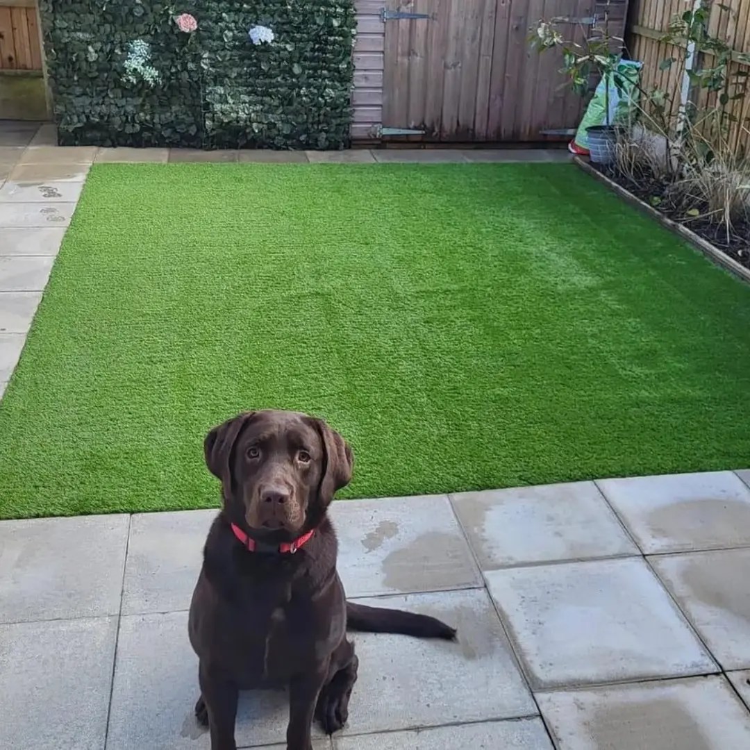 Artificial Grass Glasgow Artificial Grass Direct